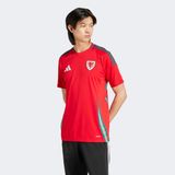 Adidas Galler Milli Takım Erkek Kırmızı Futbol Forması.- - XL