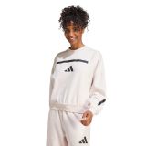 Adidas GM3279 Pembe Kapüşonlu XS Kadın Sweatshirt