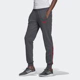 Adidas HD1698 Gri Kadın Eşofman Altı