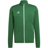 Adidas HI2135 Haki Tk Jkt Erkek Futbol Antrenman Ceketi