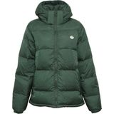 Adidas HL9219 Yeşil Regen Rekive Erkek Mont