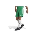 Adidas IB8087 Yeşil Erkek Şort