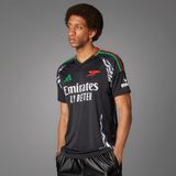 Adidas IT6148 Arsenal 24/25 Deplasman Futbol Erkek Forması