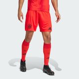Adidas IT8513 FC Bayern 24/25 İç Saha Erkek Şortu