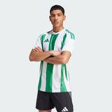 Adidas IW2148 Striped 24 Erkek Futbol Forma
