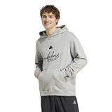 Adidas IX1316 Bl Ft Hd Q3 Gri Günlük Erkek Sweatshirt