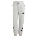 Adidas JD9586 Gri W ZNE PT Günlük Kadın Eşofman Altı
