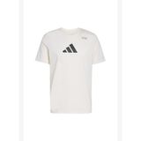 Adidas JM8976 Climacool Category Training Graphic Erkek T-Shirt