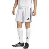 Adidas JN7156 Tastigo25 M Erkek Spor Şort
