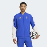 Adidas Juventus 26/27 TIRO26 Competition Presentation Erkek Ceket (KQ9280) - Renkli