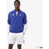 Adidas Juventus 26/27 TIRO26 Competition Presentation Erkek Mavi Ceket.- - XL