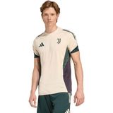 Adidas Juventus Training Erkek Tişört - Bej
