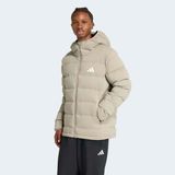 Adidas JX0596 Yeşil Erkek Mont