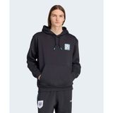 Adidas JX3096-001 Siyah Graphic Hoodie Erkek Sweatshirt