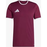 Adidas JZ2507 ENTRADA26 Erkek Forma - Bordo