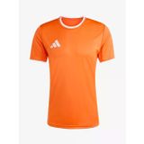 adidas JZ2509 Entrada 26 Jersey Erkek Forma