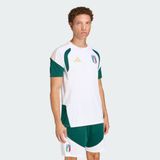 Adidas JZ9375 İtalya 26 Tiro Training Erkek Futbol Forma