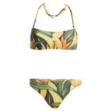 adidas Kadın Bikini FARM BIKINI JF6037