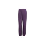 adidas Kadın Günlük Spor Pantolon JX0445 W FI SL PT