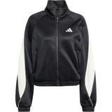 Adidas Kadın Siyah Ceket W Stadıum Tt JL6886