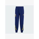 Adidas KE7000 Fenerbahçe Basketbol Travel Erkek Basketbol Eşofman Altı