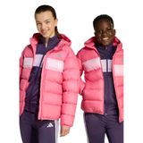 adidas Kız Çocuk Spor Mont, 176, JL7433 J SD JKT, Pembe, Kız Çocuklar