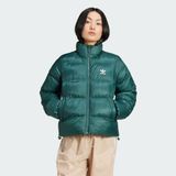 Adidas Lifestyle JD0416 Kadın Adicolor Dolgulu Kısa Mont