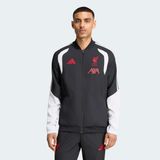 Adidas Liverpool Fc 26/27 Tiro Erkek Siyah Ceket (KB5769) - M