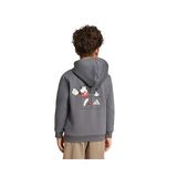 Adidas LK DISNEY MICKEY MOUSE TT Çocuk Günlük Ceket KG6124 Gri
