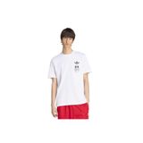 adidas Loose Graphic T Erkek T-shirt IA4485