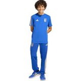 Adidas Mavi Erkek Çocuk T-Shirt JY9540 Fıgc Kıds Tee - 164 cm