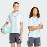 Adidas Messi Training Çocuk Forma - Mavi - 152 cm