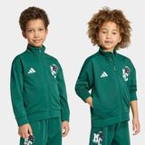 Adidas Minecraft Çocuk Yeşil Ceket (KH3198) - 6 - 7 Yaş