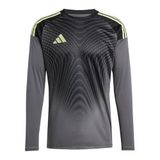adidas Performance Tiro 25 Competition kaleci forması, gri, M erkek