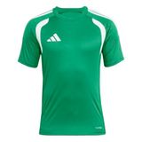 adidas Performance Tiro 26 League forma yeşil beyaz, M erkek