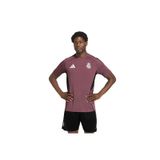adidas Real Madrid Erkek Futbol Antrenman Forması, Mor, S Beden