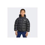 adidas Sentetik Dolgulu Mont Çocuk