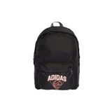 adidas Sırt Çantası Cl Bpk Hoops Jg1086