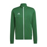 adidas Spor Erkek Ceketi