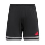adidas SQUA25 SHO M Erkek Şort BLACK/TEGRFO/PURRUB S
