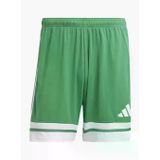 adidas Squadra 25 Erkek Maç Şortu