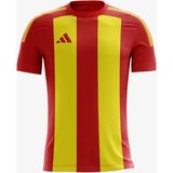 Adidas Striped 24 Jsy Erkek Forma - L - Sarı - Kırmızı