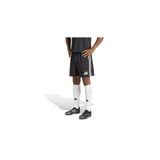 adidas Tastigo25 Sho M Erkek Futbol Antrenman Şortu Renkli JN7155