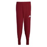 Adidas Team Türkiye Seromoni Bordo Erkek Eşofman Altı