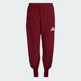 adidas Team Türkiye Seromoni Kadın Eşofman Altı Bordo S