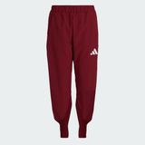 Adidas Team Türkiye Seromoni Kadın Eşofman Altı - Bordo