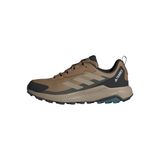 adidas TERREX ANYLANDER Erkek Spor Ayakkabı Düşük Bilekli (Futbol Dışı) CARDBO/BLACAR/SHAOLI 44