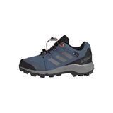 adidas Terrex GORE-TEX Hiking Shoes