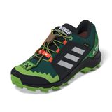 Adidas Terrex Gore-Tex Minecraft Erkek Çocuk Yeşil Outdoor Ayakkabı