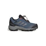 adidas TERREX GTX K Çocuk Mavi Outdoor Ayakkabı JI1358